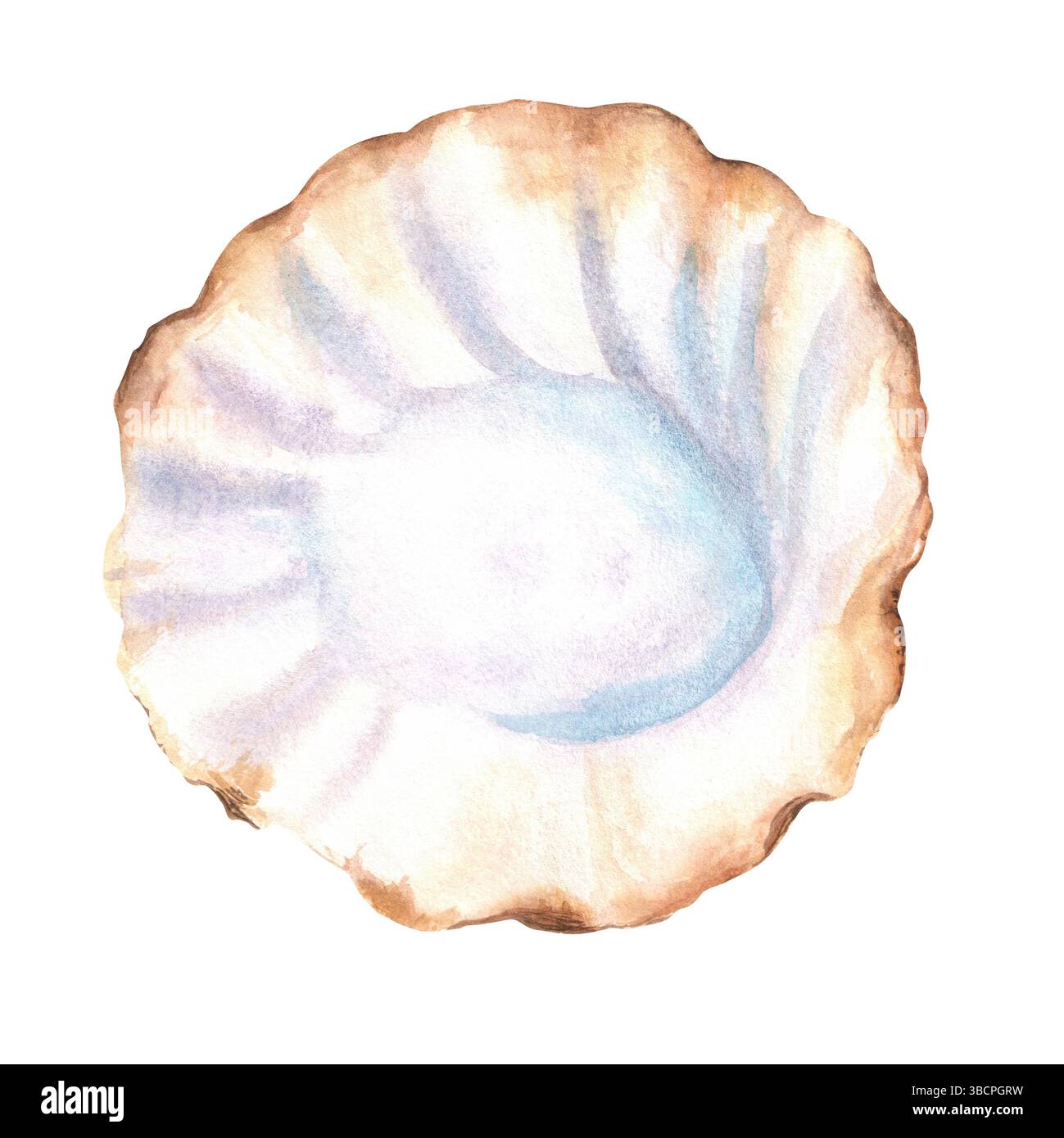 Große offene Muschel mit Perlmutt-Textur. Ein Teil der Muschelschale. Sea LIFE Clipart isoliertes Element. Aquarium-Dekoration. Handgezogenes Wasserkol Stockfoto