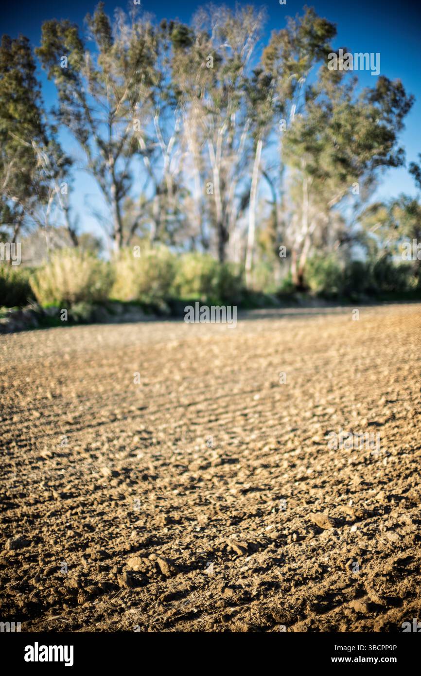 Frisch gewordener Boden erstreckt sich über die Landschaft von Sevilla, umgeben von üppigem Grün und Bäumen unter einem klaren blauen Himmel. Stockfoto