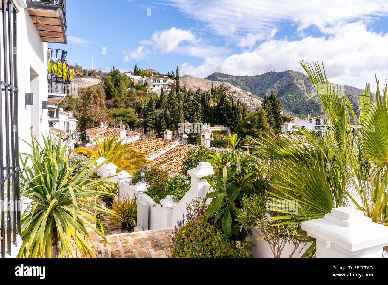 Pflanzen auf den Straßen vor weißen Häusern in Mijas, Malaga - Spanien Stockfoto