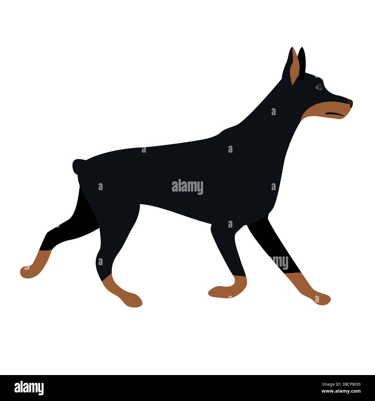 Vektor flach Hand gezeichneter Doberman Hund isoliert auf weißem Hintergrund Stock Vektor