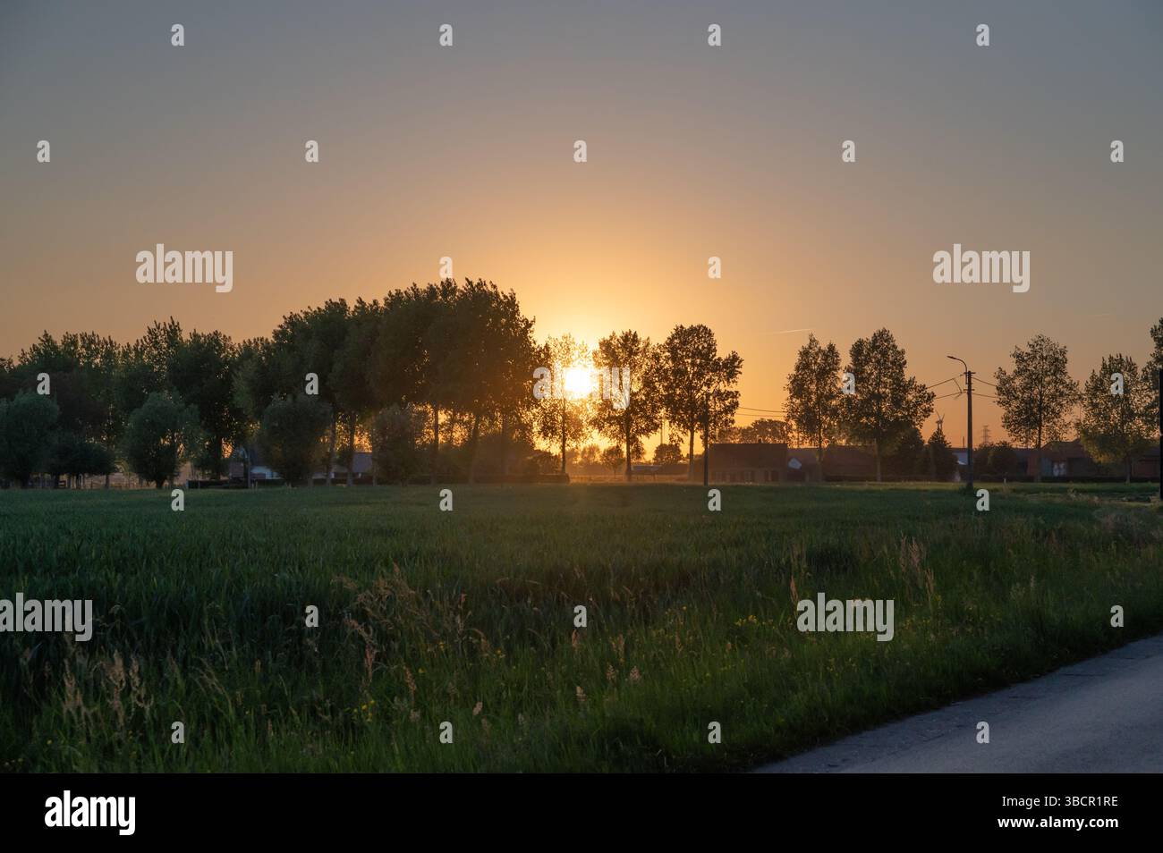 Wenn der Tag zu Ende geht, wirft ein wunderschöner Sonnenuntergang leuchtende Farben über ein weitläufiges Feld mit majestätischen Bäumen im Vordergrund Stockfoto