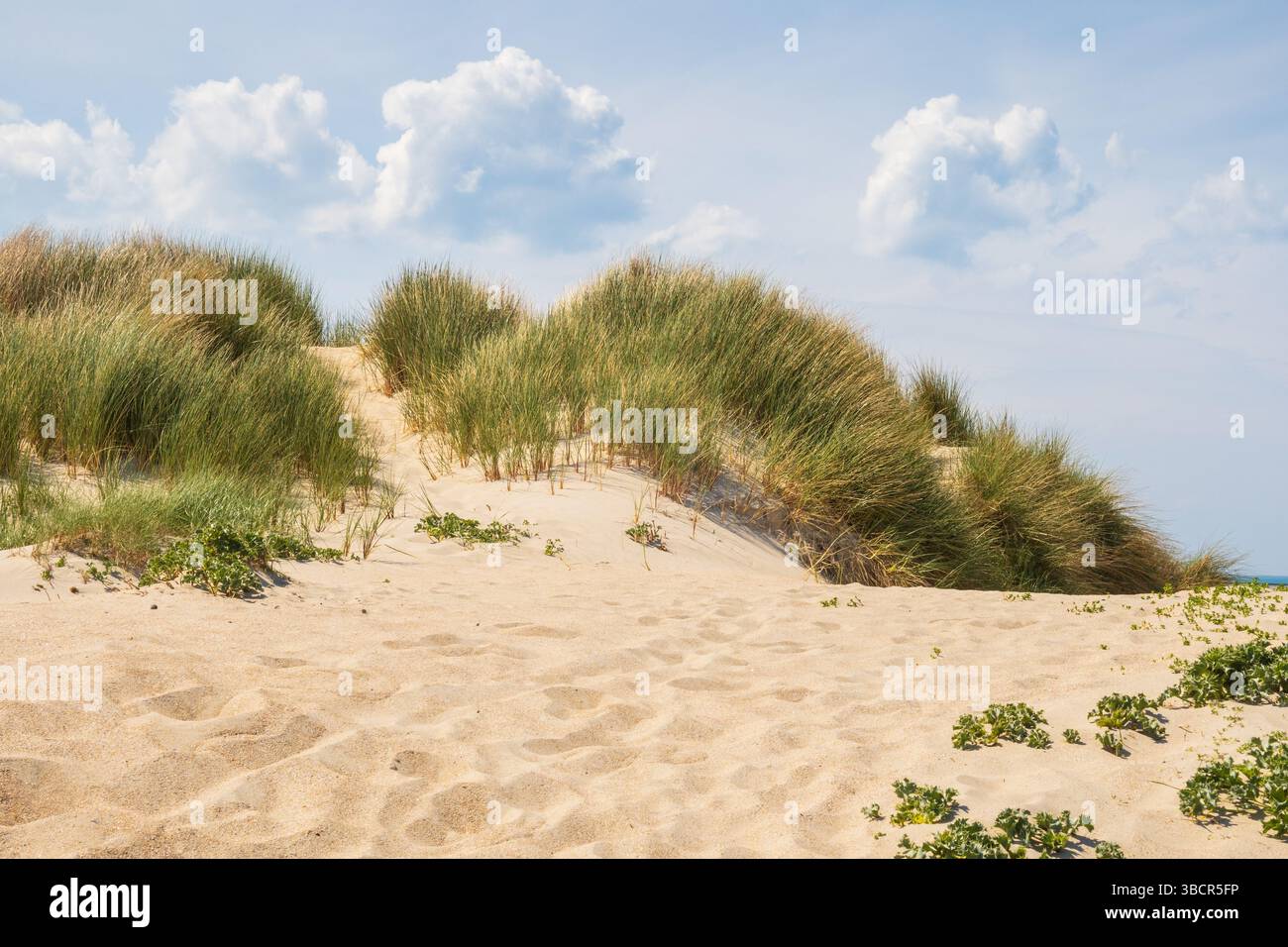 Ruhige Aussicht von den Dünen der Küste der Halbinsel Cotentin in der Normandie, Frankreich Stockfoto