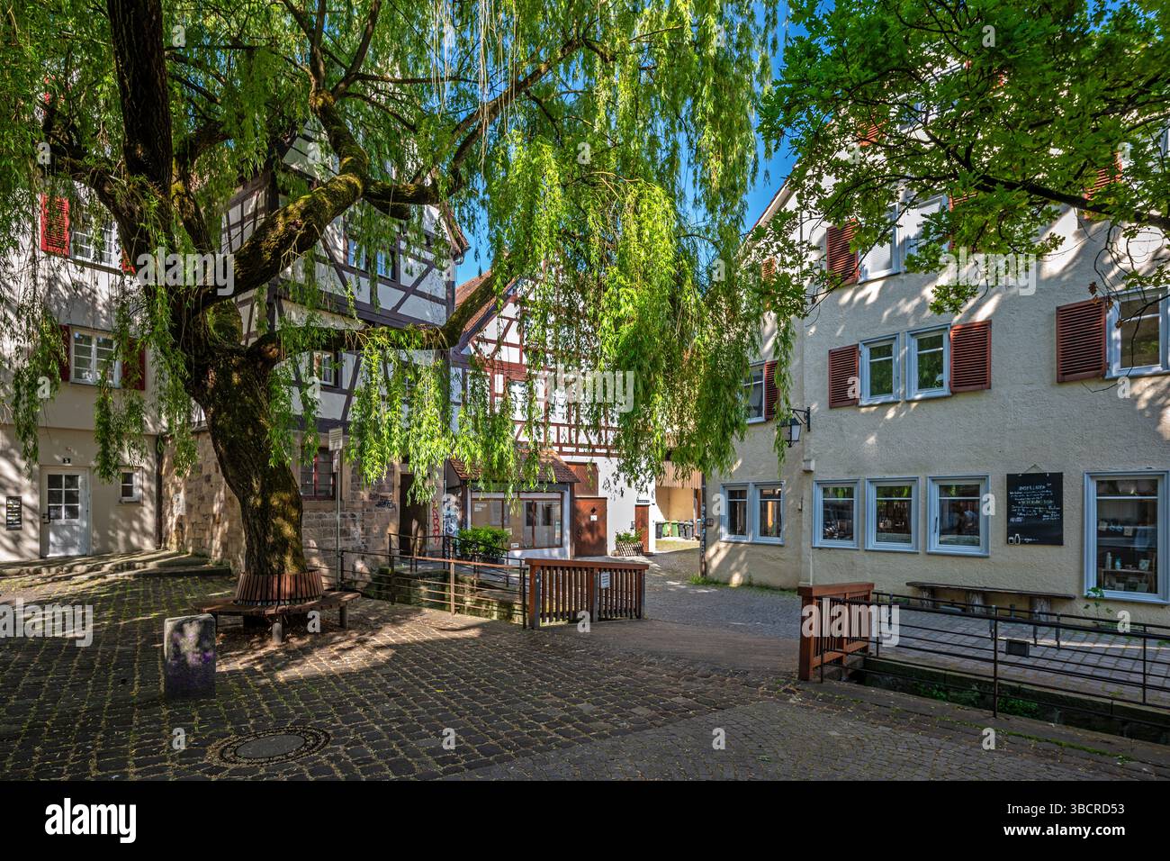 Historische Fachwerkhäuser und schöner Baum in der Altstadt von Tübingen in Süddeutschland Stockfoto