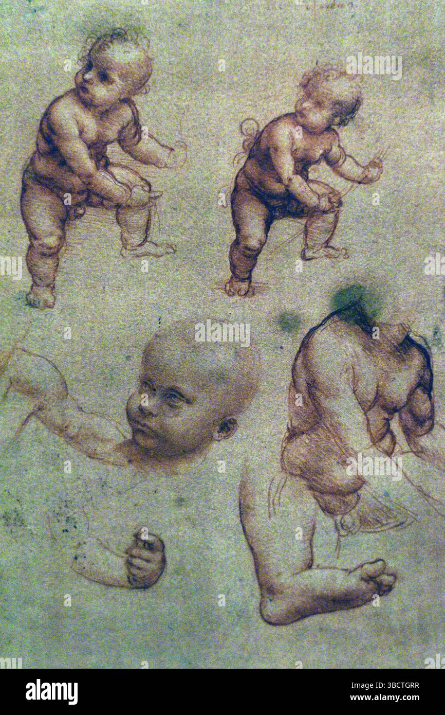 Studien für das Christuskind von Leonard de Vinci (1452-1519), Gallerie dell'Academia, Venedig. Stockfoto