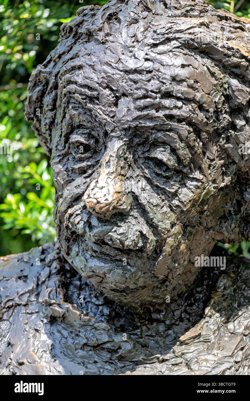 WASHINGTON DC – das Albert Einstein Memorial steht auf dem Gelände der National Academy of Sciences an der 2101 Constitution Avenue. Die Bronzestatue wurde 1979 vom Bildhauer Robert Berks erschaffen und enthüllt und zeigt Einstein mit mathematischen Gleichungen aus seinen wissenschaftlichen Arbeiten, die in die Granitbasis gehauen sind. Das 12 Fuß hohe Denkmal ehrt den Nobelpreisträger Physiker, dessen Theorien unser Verständnis von Raum, Zeit und Energie revolutionierten. Stockfoto