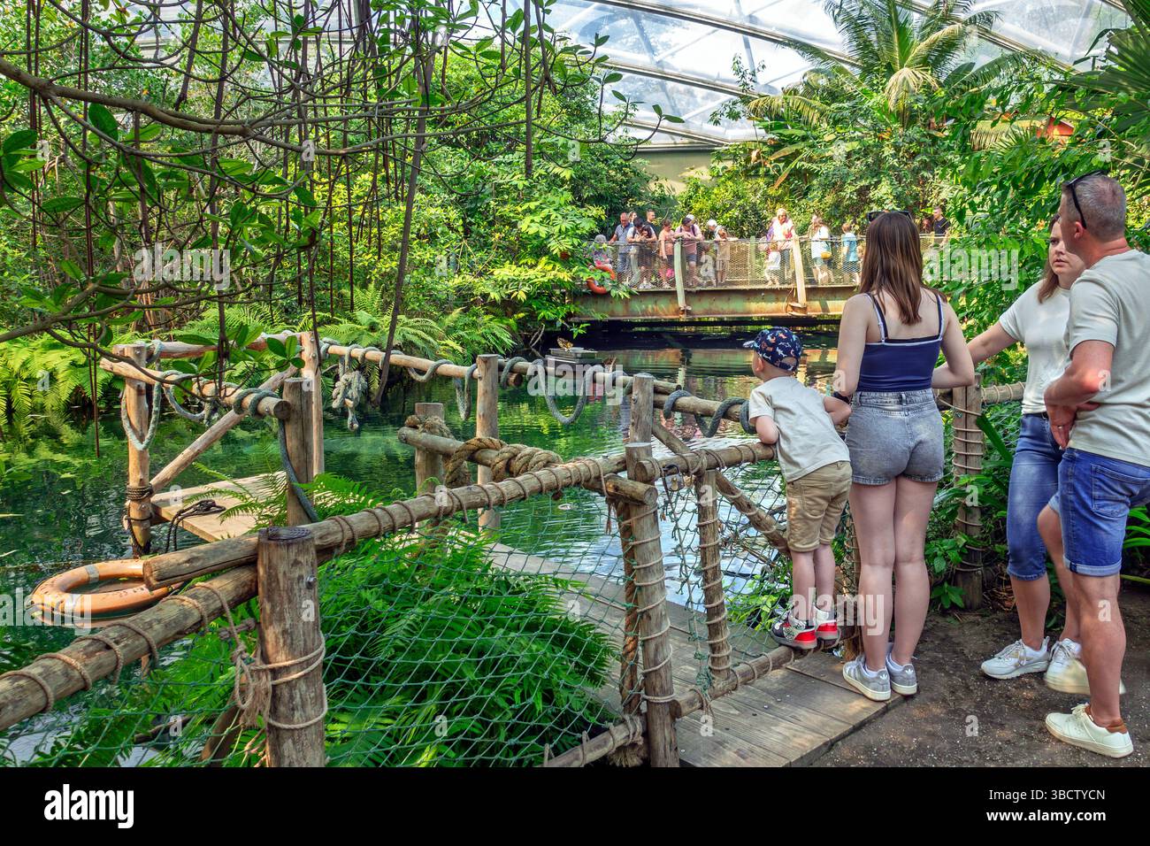 Besucher, die exotische Schmetterlinge, Fische und tropische Pflanzen im überdachten Mangrovenwald im Burgers Zoo in Arnhem, Gelderland, Niederlande, bewundern Stockfoto