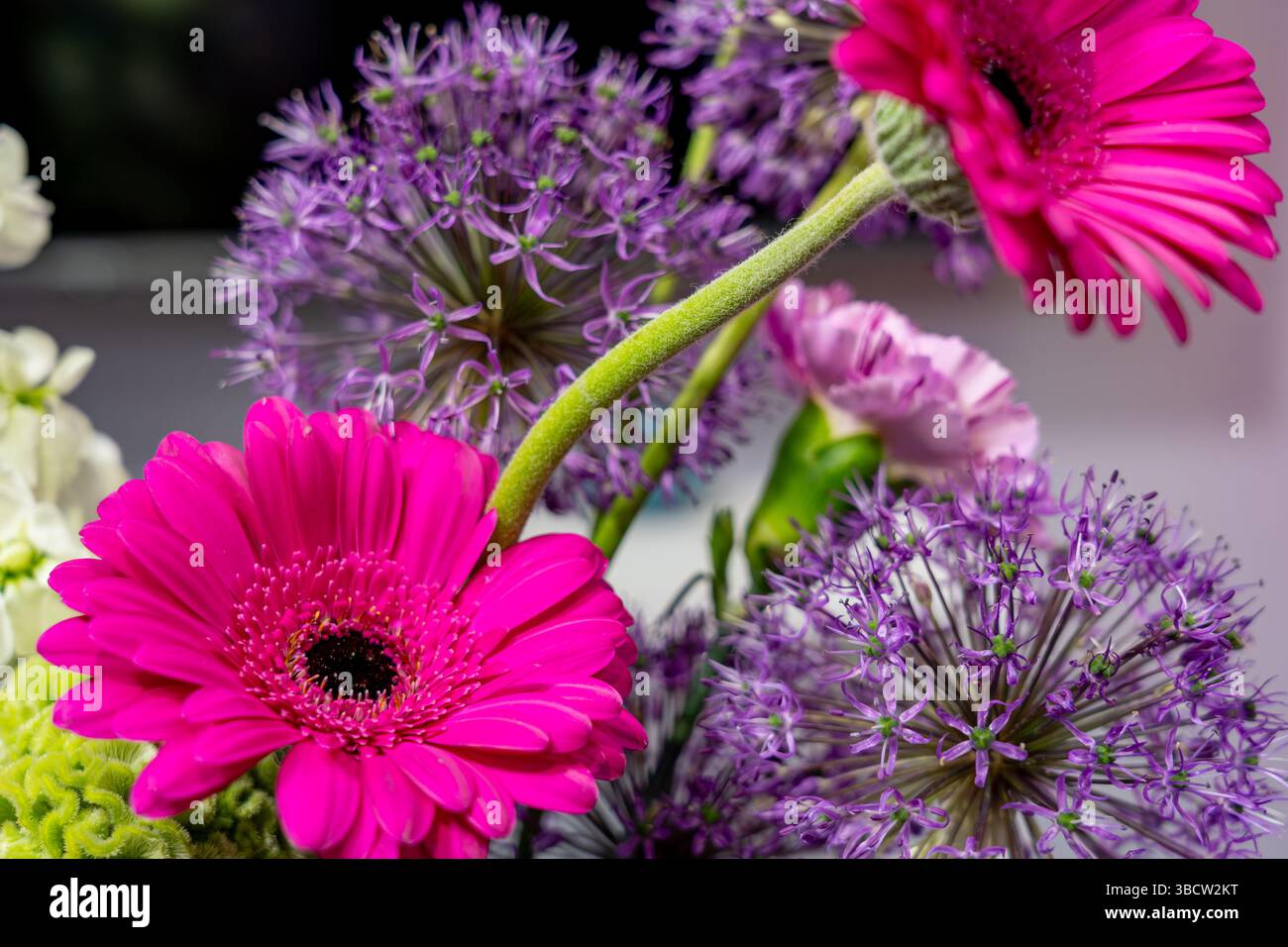 Ein lebhafter Blumenstrauß besticht durch markante rosa Gerbera-Gänseblümchen, lila Allien und weiße Blüten. Die Blumen sind elegant angeordnet und zeigen die Stockfoto