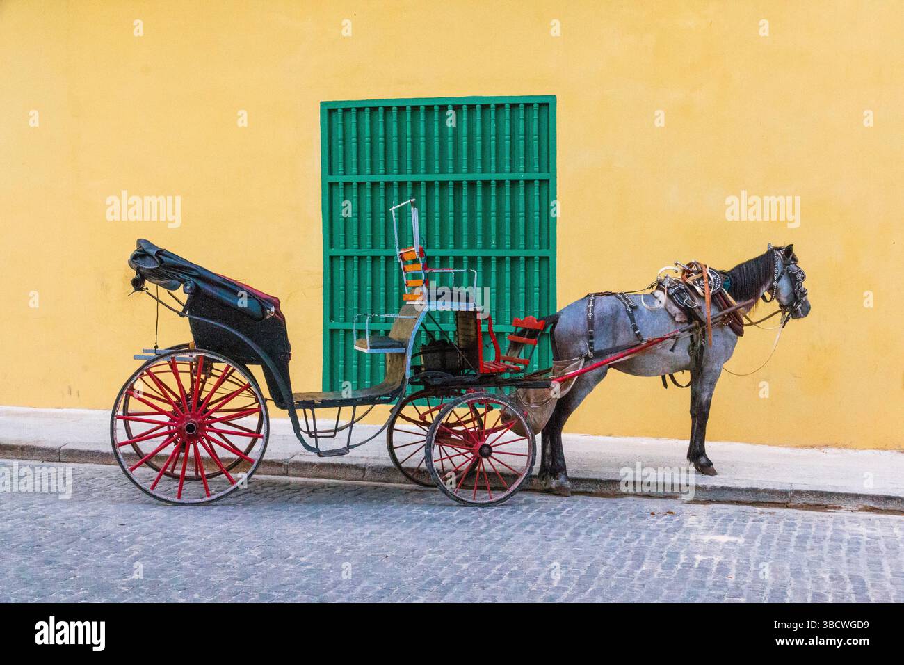 Kuba, Havanna, Habana Vieja, Pferdekutsche. Stockfoto