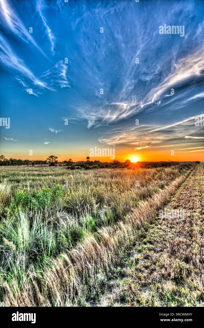 Der Sonnenuntergang über dem Big Cypress National Preserve strahlt ein warmes Leuchten über der Prärielandschaft aus. Stockfoto