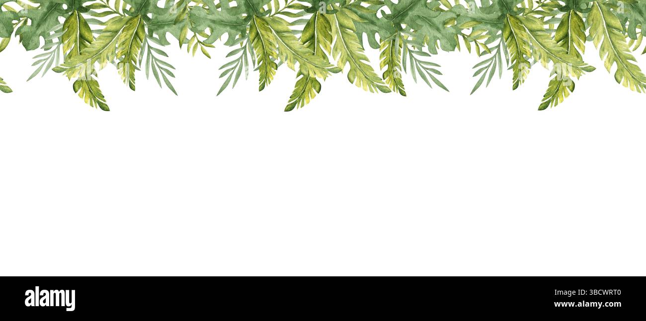 Tropische Blätter Aquarell horizontale nahtlose Randmuster. Eukalyptus, Monstera und Bananenpalme. Handgezeichnete botanische exotische Illustration. Kann sein Stockfoto