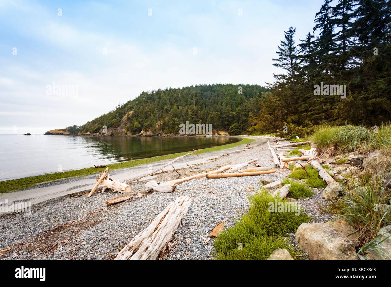Bundesstaat Washington. Strand im Deception Pass State Park. Stockfoto