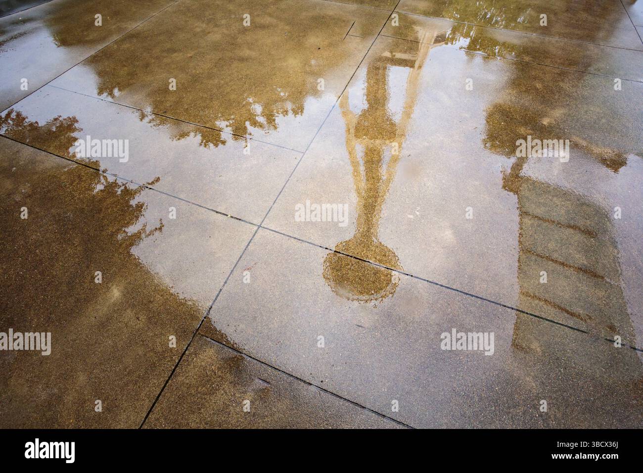 Reflection of Space Needle, Seattle, Washington State, USA. Stockfoto
