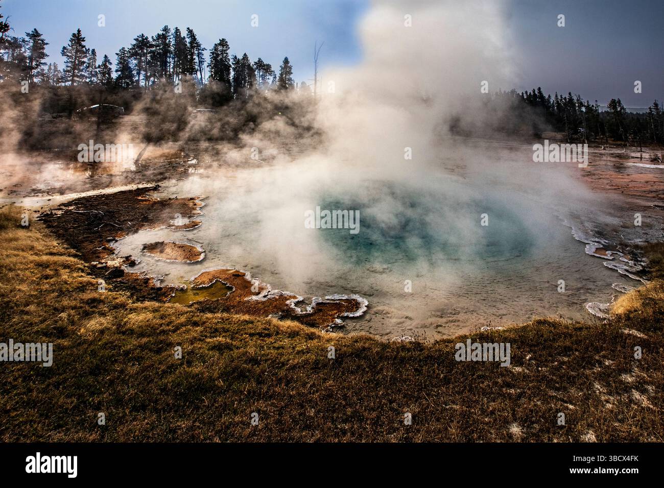 Geysire spucken kochendes Wasser und Dampf in die Luft. Stockfoto