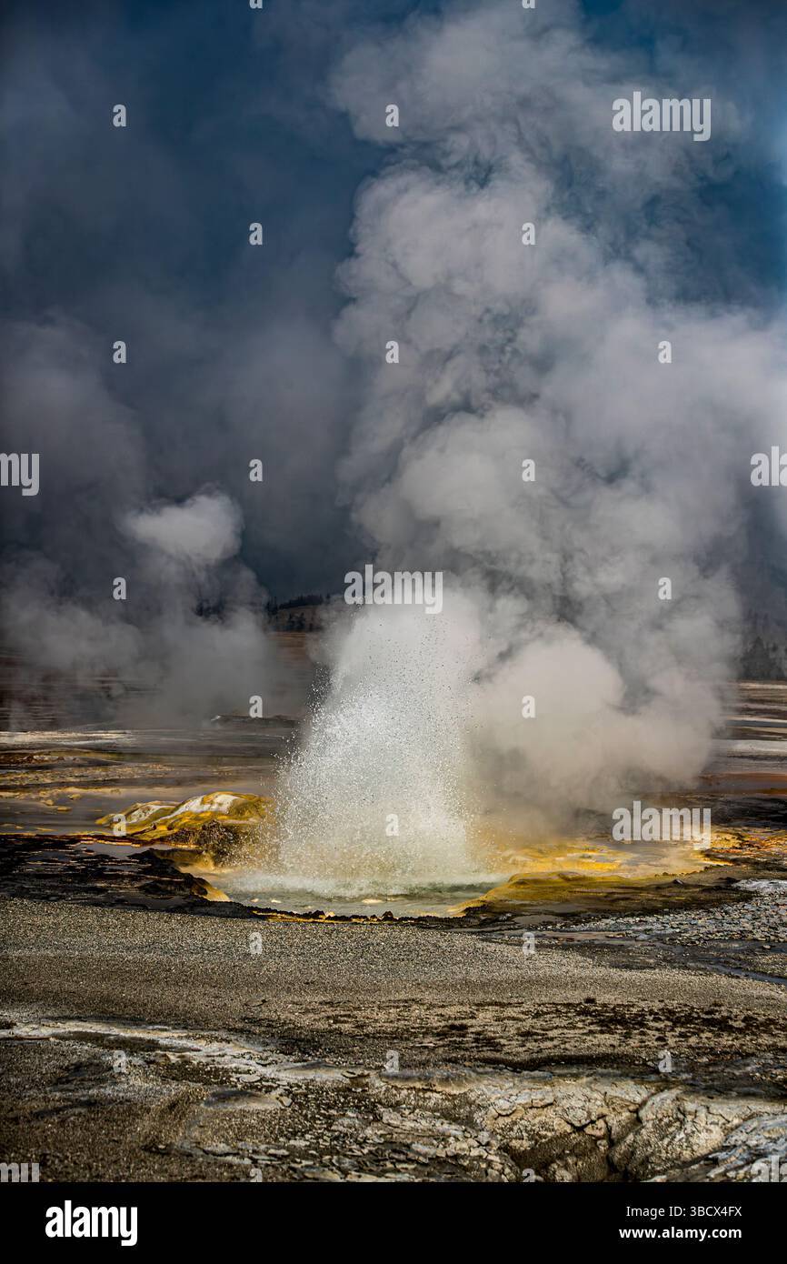Geysire spucken kochendes Wasser und Dampf in die Luft. Stockfoto
