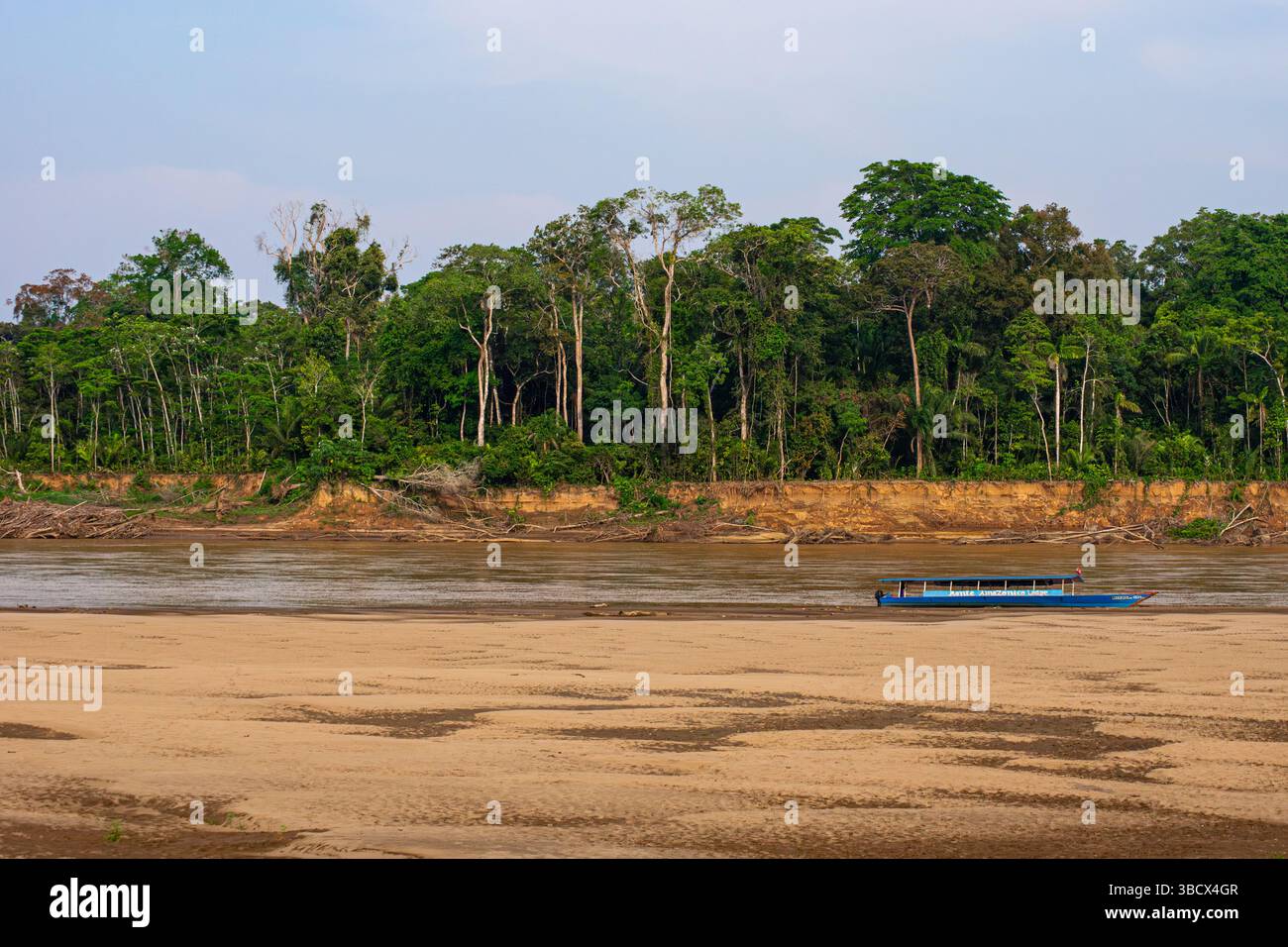 Sandige Ufer des Tambopata River im dichten peruanischen Amazonas-Regenwald Stockfoto