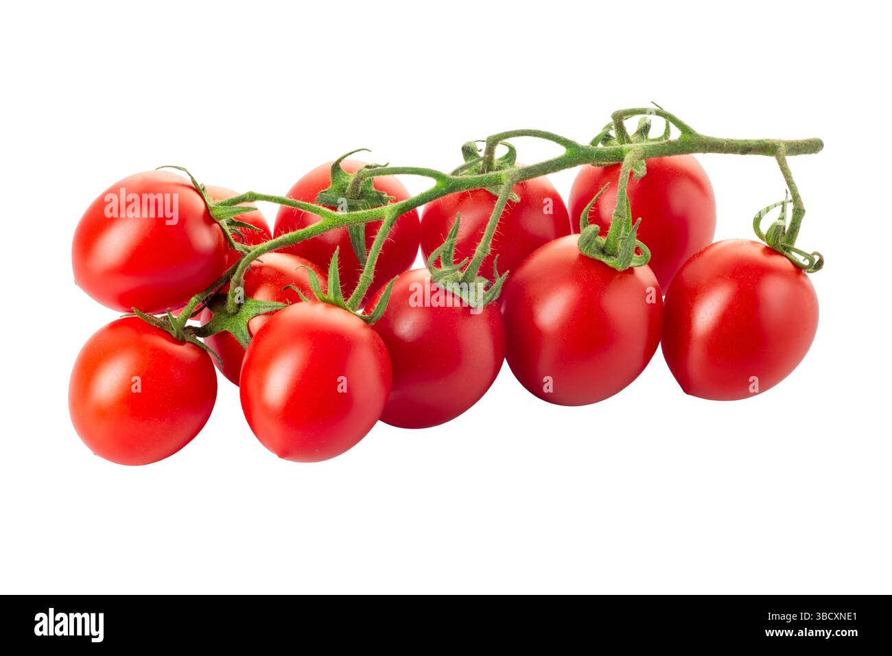 Geclusterte Piccadilly-Kirschtomaten isoliert auf weiß mit Schnittpfad im Preis inbegriffen Stockfoto