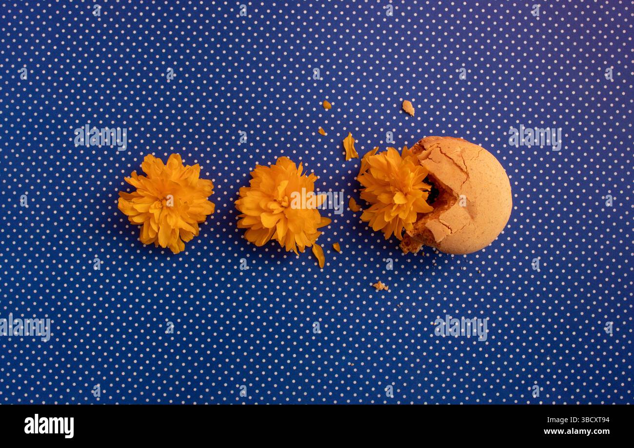 Makronen mit gelben Blüten auf blauem Hintergrund. Flache Lagen. Stockfoto