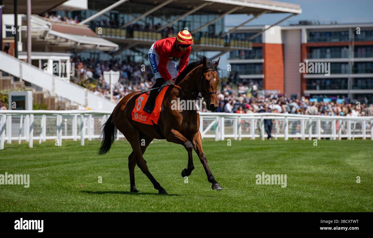 Circus of Rome und David Probert starten den Trade Nation London Gold Cup. Credit JTW equine Images / Alamy Stockfoto