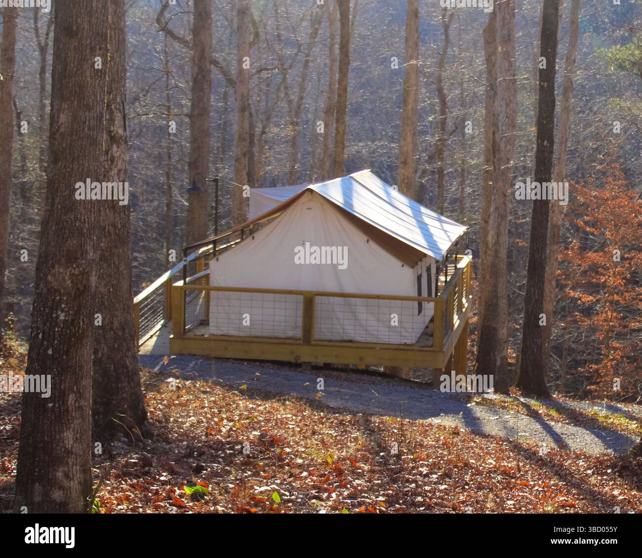 Ein luxuriöses Segeltuch-Zelt bietet eine gemütliche, abgeschiedene Flucht in die Wildnis. Erleben Sie die Natur beim Glamping im Wald. Stockfoto