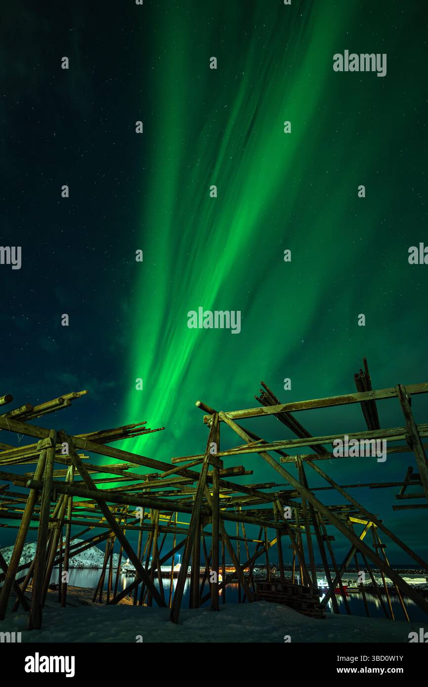 Nordlicht oder Aurora borealis aus reiner Dorf mit Holzständern zum Trocknen von Stockfischen im Vordergrund, Lofoten, Norwegen. Stockfoto