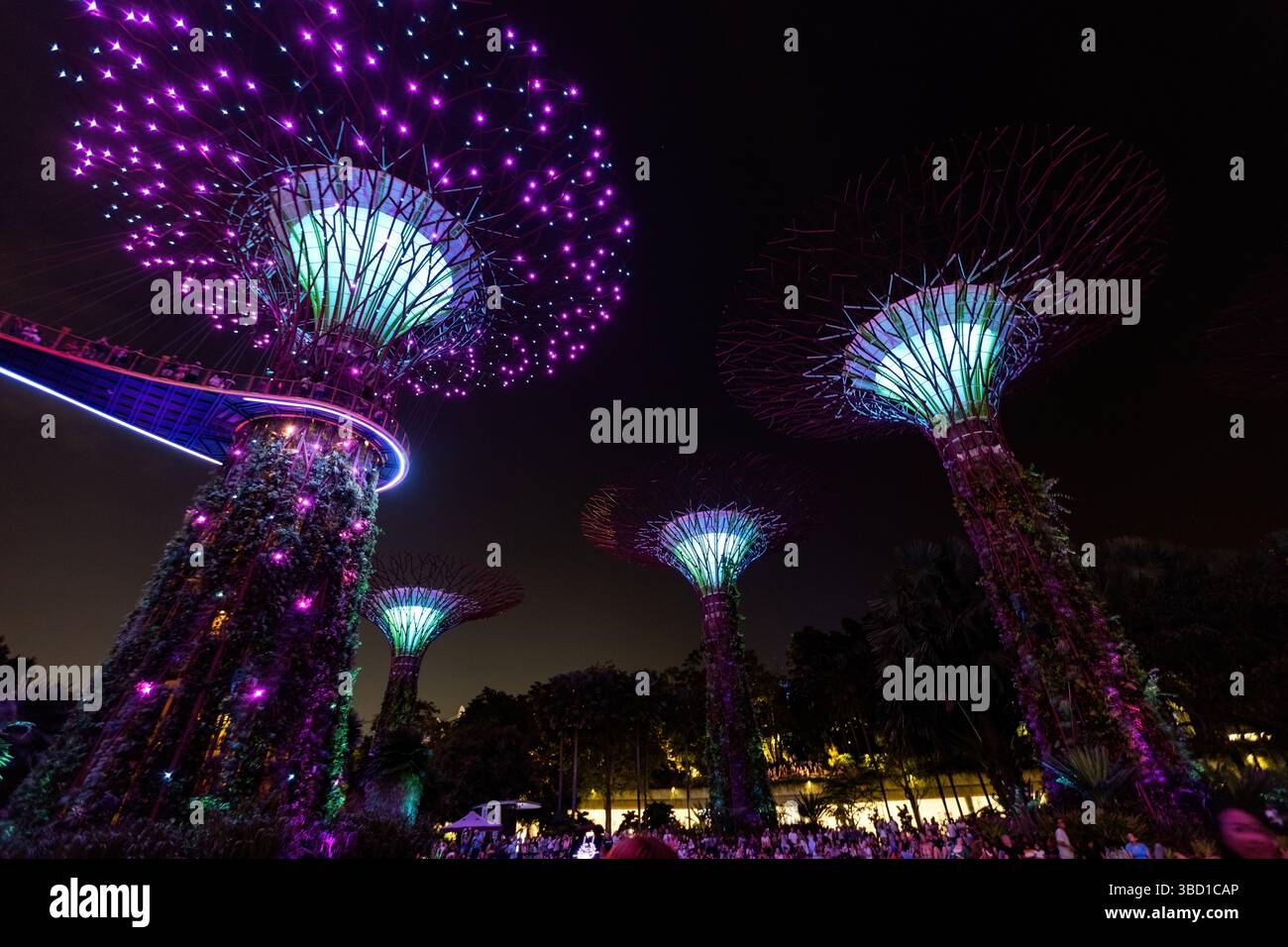 Gärten an der Bucht futuristische Bäume beleuchtet bei Nacht Singapur Stockfoto