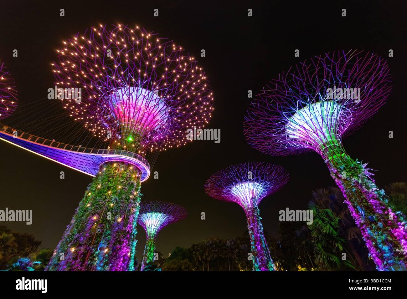 Gärten an der Bucht futuristische Bäume beleuchtet bei Nacht Singapur Stockfoto