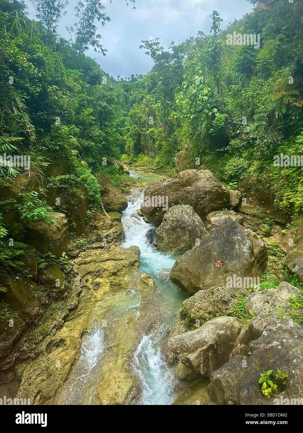 Unberührter Bergbach, der durch üppigen tropischen Regenwald mit moosbedeckten Felsen und kristallklarem Wasser in einer ruhigen natürlichen Umgebung fließt - Smartphone-aufgenommenes Stockfoto