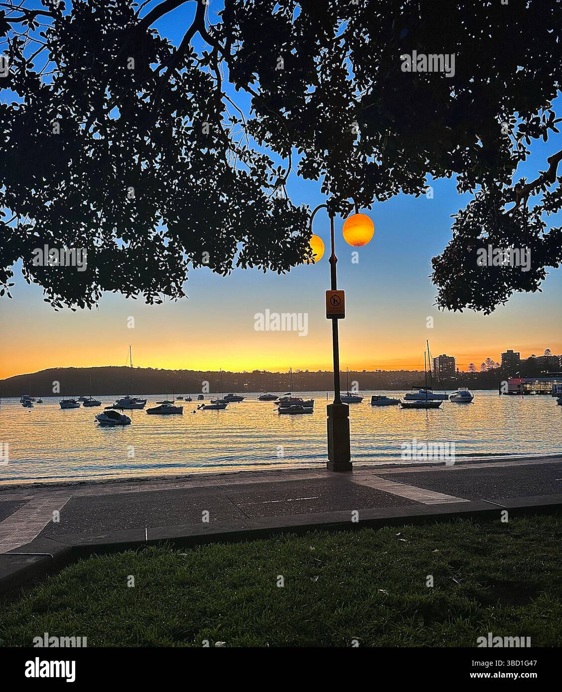Malerischer Hafen bei Sonnenaufgang mit Booten, die in ruhigem Wasser ankern, eingerahmt von Baumästen und einer leuchtenden Straßenlaterne im Vordergrund. - Smartphone-aufgenommenes Stockfoto