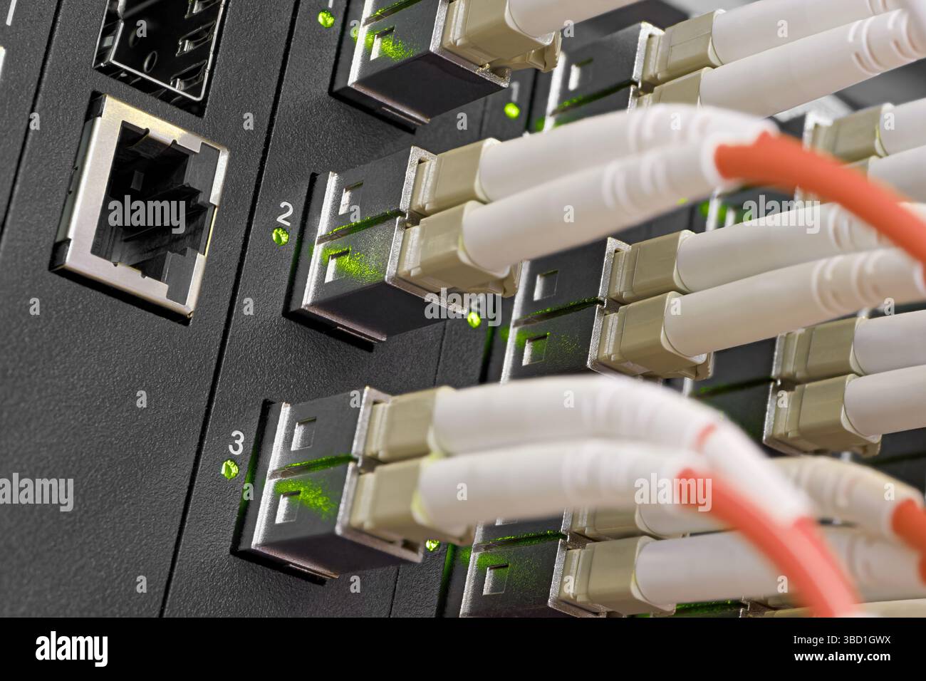 Rechenzentrum, Netzwerkpanel, Switch und angeschlossene mehrfarbige Kabel. Nahaufnahme, selektiver Fokus, Hintergrund zu Netzwerktechnologien. Stockfoto