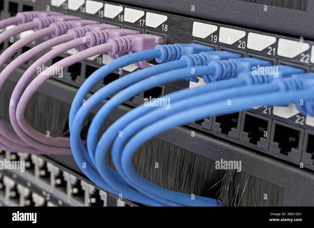 Rechenzentrum, Netzwerkpanel, Switch und angeschlossene mehrfarbige Kabel. Nahaufnahme, selektiver Fokus, Hintergrund zu Netzwerktechnologien. Stockfoto