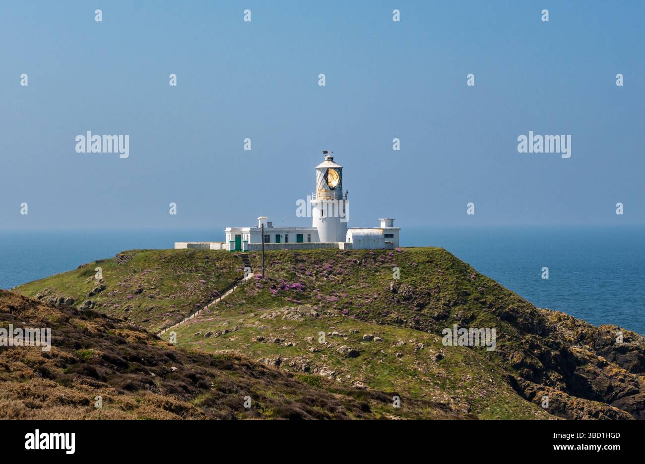 Strumble Head Lighthouse steht auf der Insel Ynys Meicel, direkt vor der Küste im Pembrokeshire Natiional Park (Wales, UK) Stockfoto