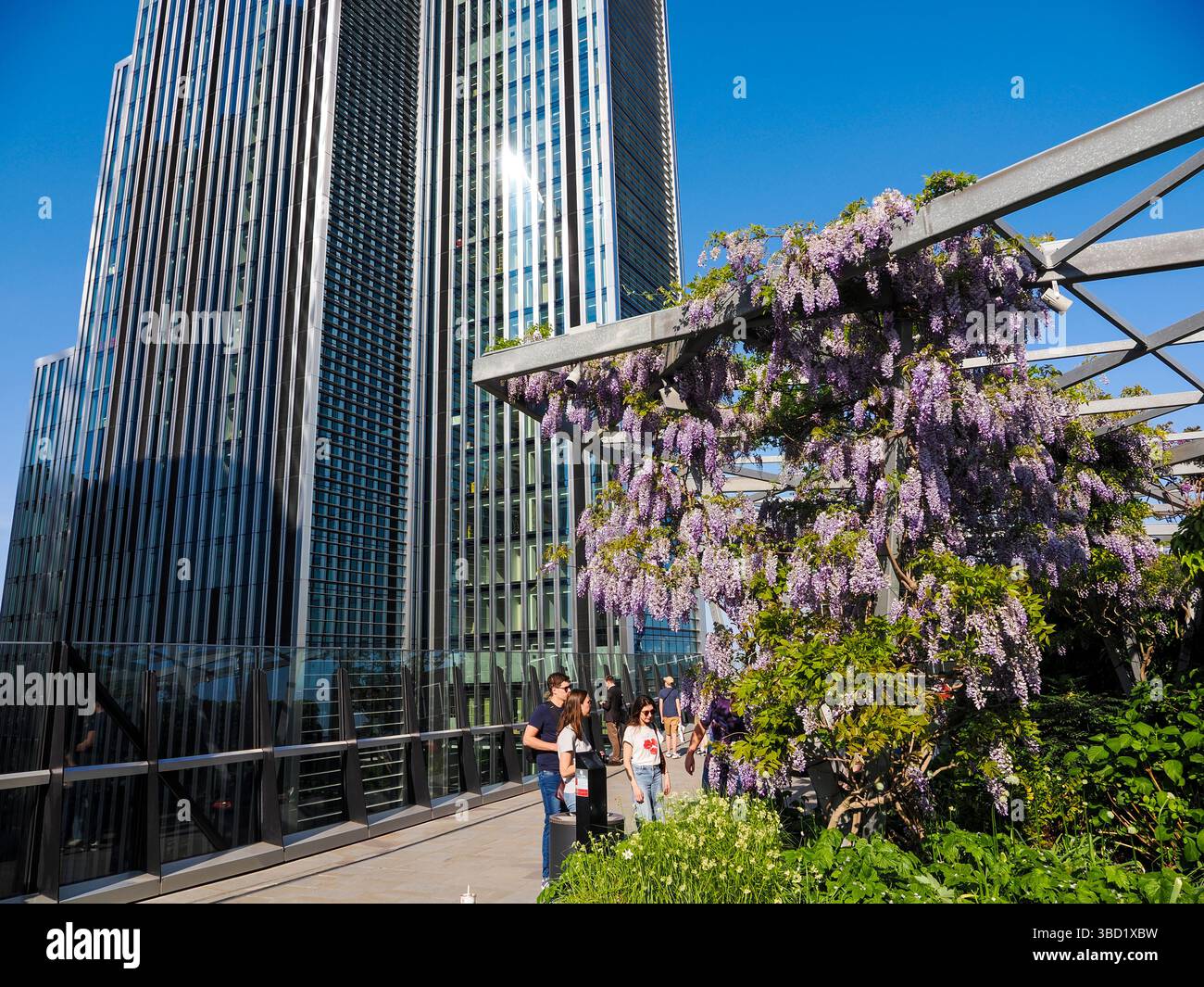 Blick auf die 40 Leadenhall Street, vom Garten auf 120. Mit Wisteria, 120 Fenchurch Street, London, England, Großbritannien, GB. Stockfoto