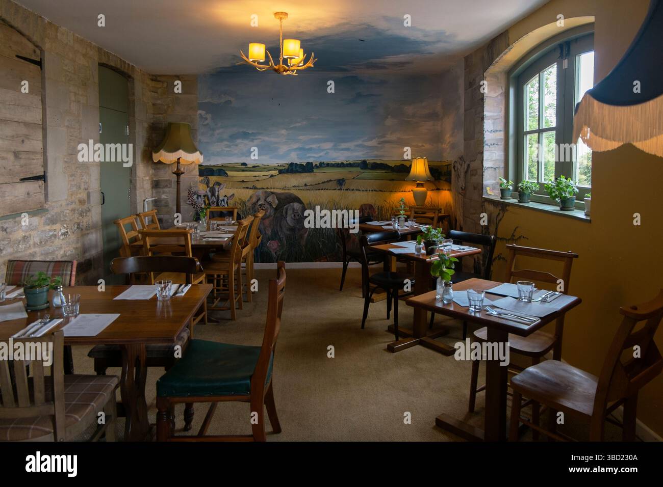 Das Restaurant mit Wandmalereien von Bauernhoftieren in Jeremy Clarkson's Pub, The Farmer's Dog, in den Cotswolds, Großbritannien. Stockfoto