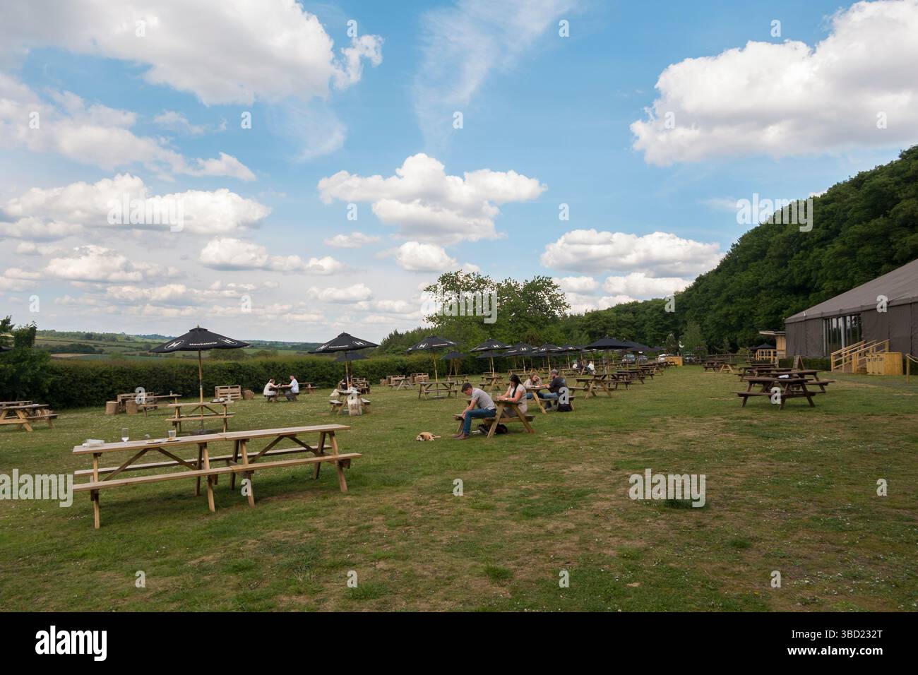 Pub-Tische und Sonnenschirme im Pub-Garten von Jeremy Clarkson's Pub, The Farmer's Dog, in den Cotswolds, Großbritannien. Stockfoto