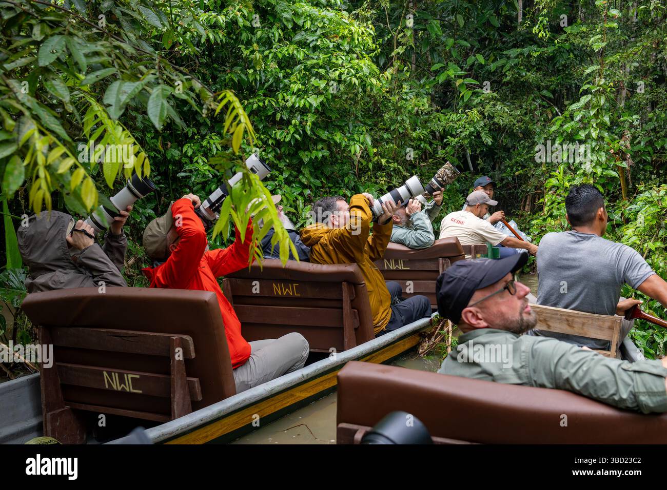 Eine Wildtier-Fotografie-Tour in einem Kanu im Napo Wildlife Center im Yasuni-Nationalpark, Ecuador. Stockfoto