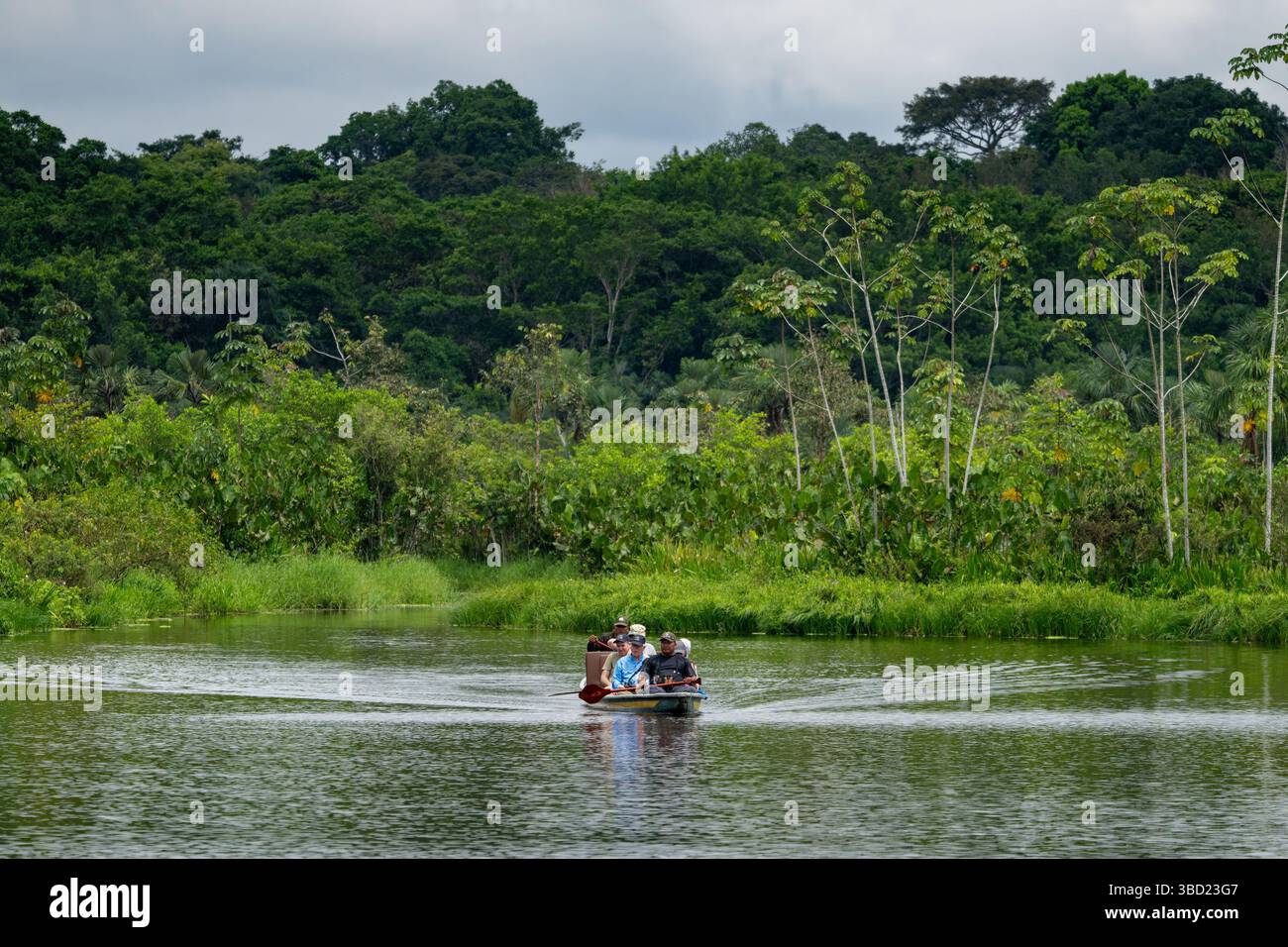 Touristen auf einer Wildtierbeobachtungstour in einem Kanu im Napo Wildlife Center im Yasuni Nationalpark, Ecuador. Stockfoto