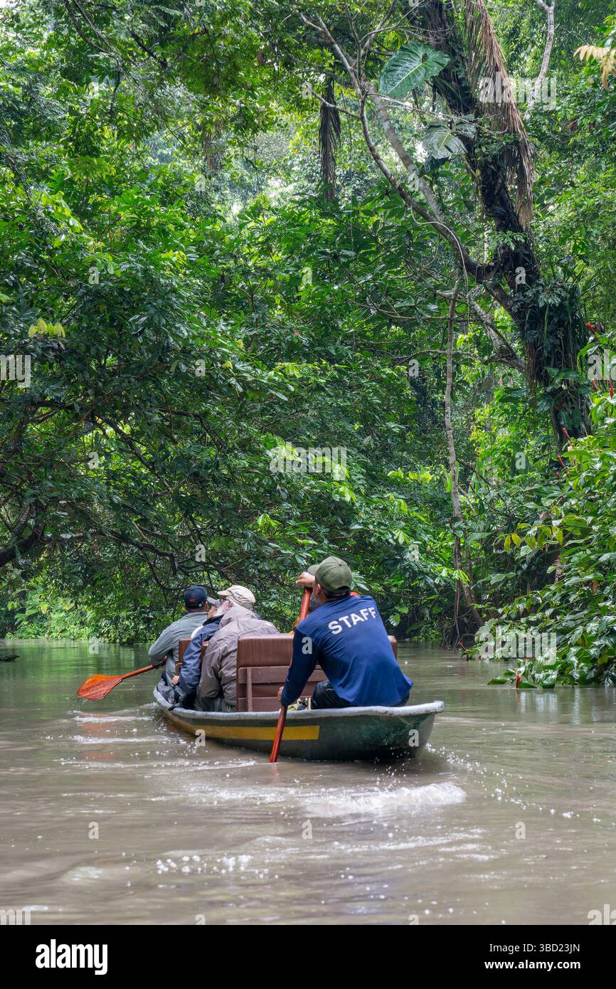Touristen auf einer Wildtierbeobachtungstour in einem Kanu im Napo Wildlife Center im Yasuni Nationalpark, Ecuador. Stockfoto