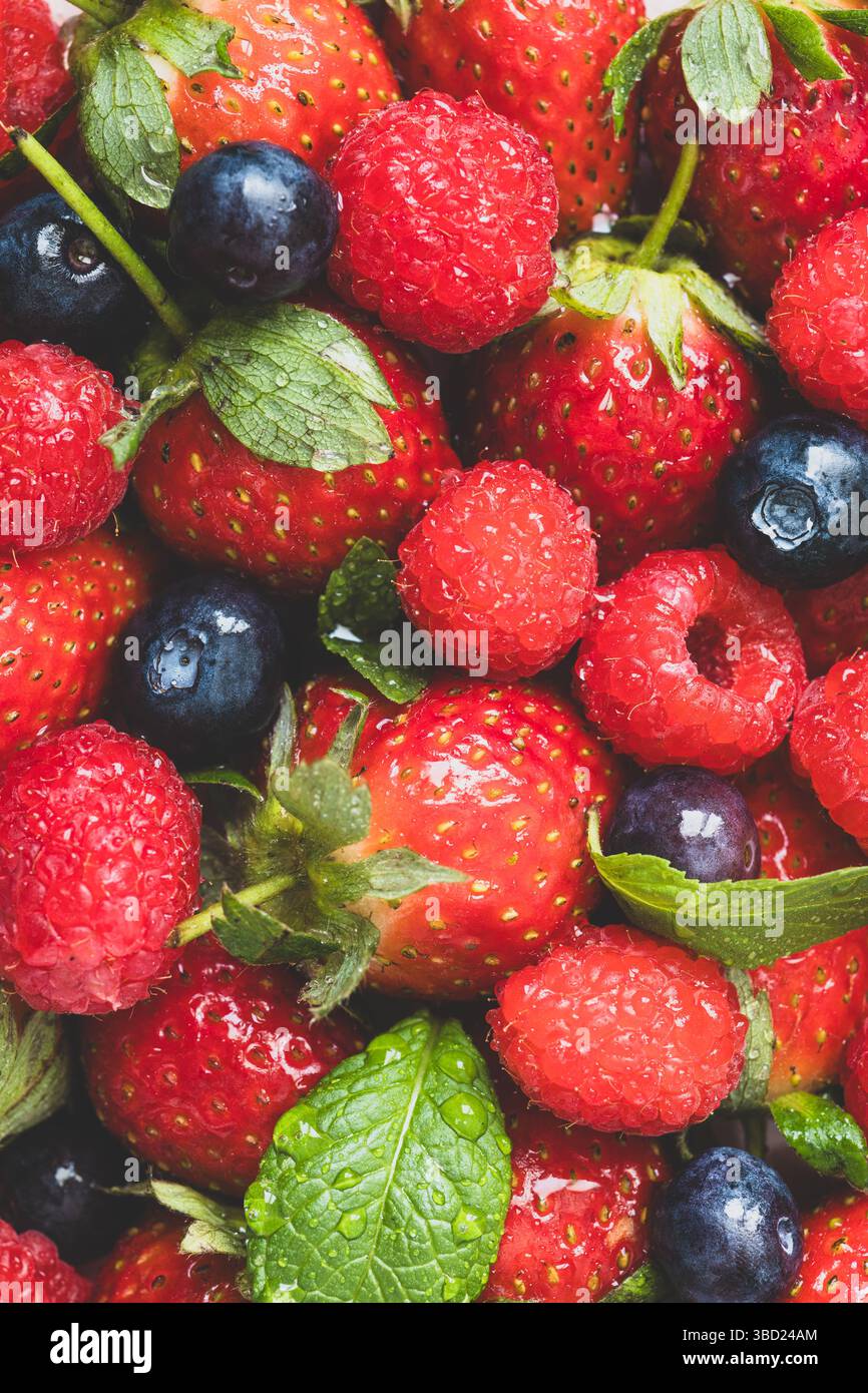 Mischung aus Reifen Erdbeeren, Himbeeren, Heidelbeeren und frischen Minzblättern, eine bunte, erfrischende und gesunde Fruchtkombination perfekt für Essen und Stockfoto