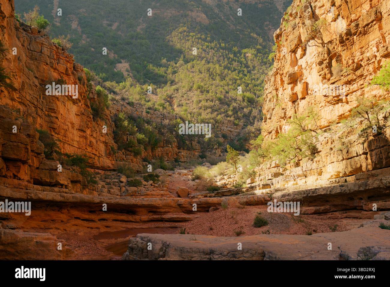 Getrocknete natürliche Pools im Paradise Valley, Marokko Stockfoto