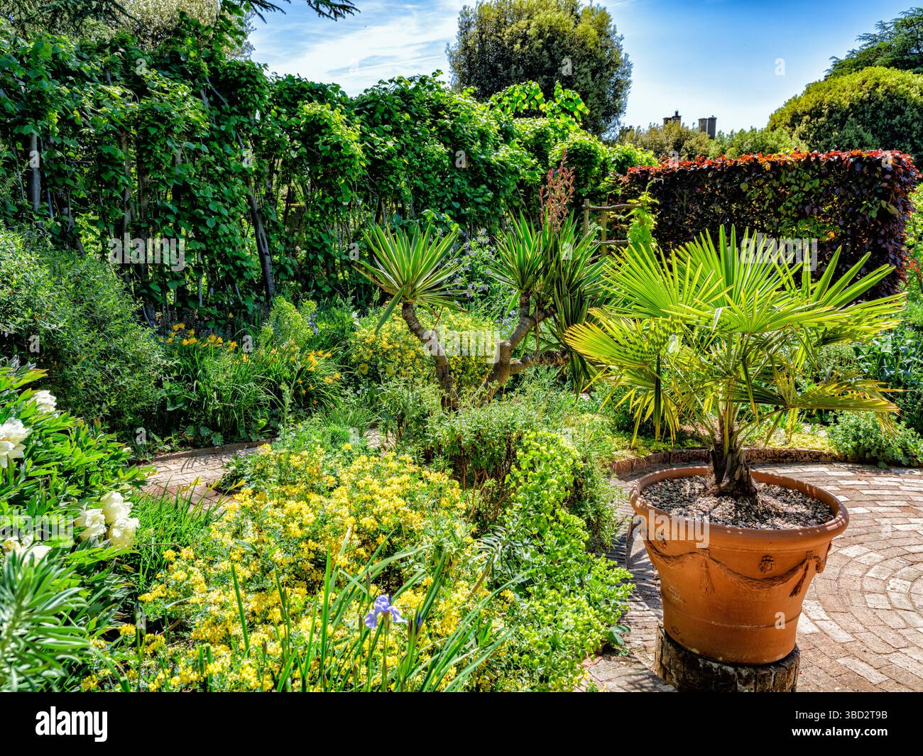 Hidcote Manor Gardens einer der großen englischen Gärten in den Cotswold Hills von Wiltshire, Großbritannien Stockfoto