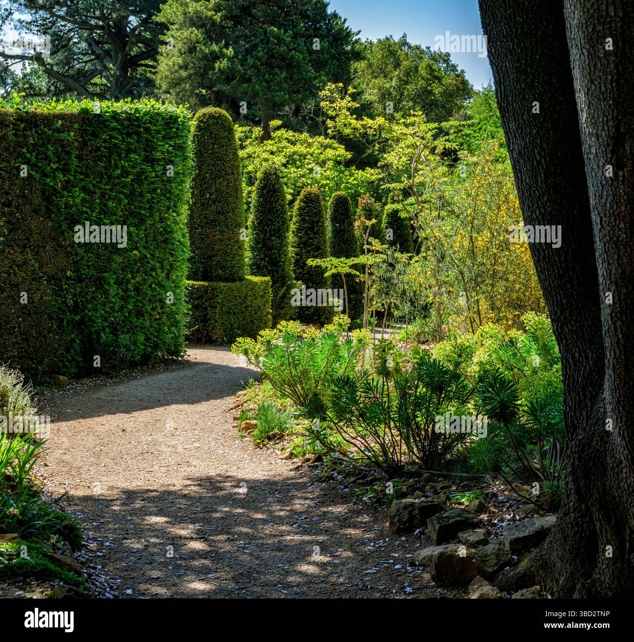 Ecke Hidcote Manor Gardens, einer der großen englischen Gärten in den Cotswold Hills von Wiltshire, Großbritannien Stockfoto