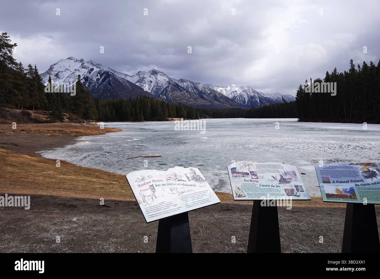 Johnson Lake Banff, Alberta Stockfoto