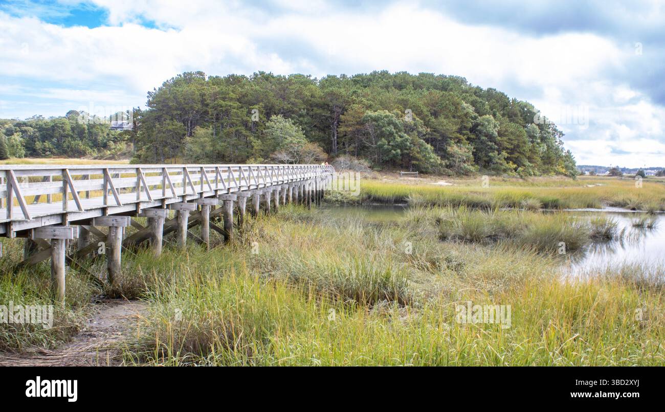 Machen Sie einen Spaziergang durch den Salzmarsch von Cape Cod von erhöhten Uferwegen, und tauchen Sie ein in ein unberührtes Mündungsökosystem und seine weitläufige, ruhige Schönheit. Stockfoto