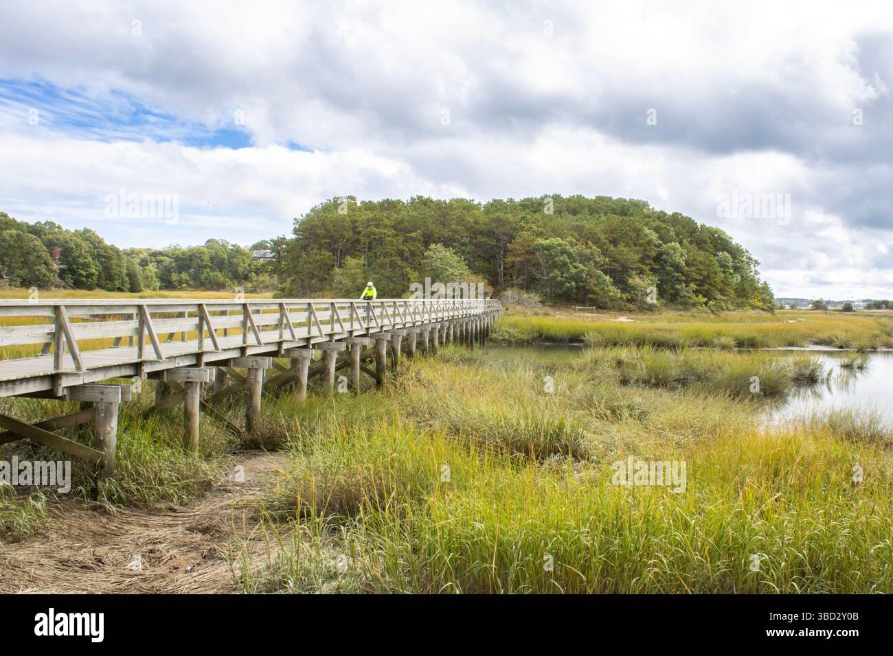 Machen Sie einen Spaziergang durch den Salzmarsch von Cape Cod von erhöhten Uferwegen, und tauchen Sie ein in ein unberührtes Mündungsökosystem und seine weitläufige, ruhige Schönheit. Stockfoto