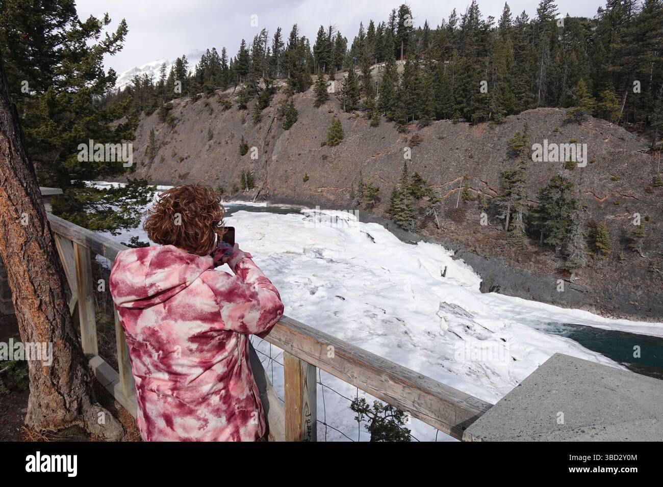 Bow Falls Banff, Alberta Stockfoto