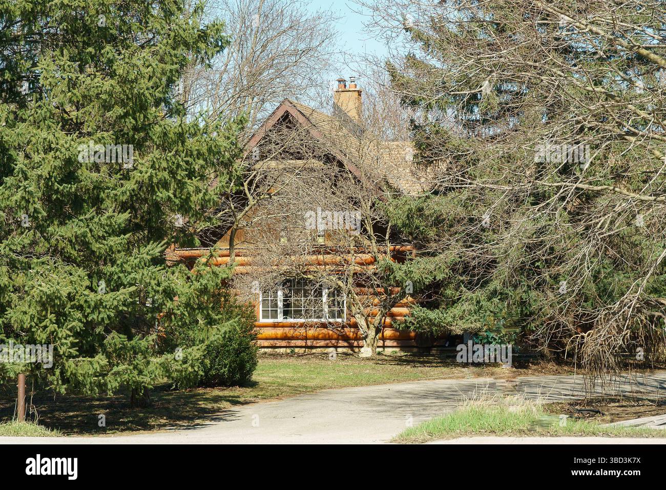 Schöne Wiese, Baumstamm, zweistöckiges Haus in einem Fichtenwald Stockfoto