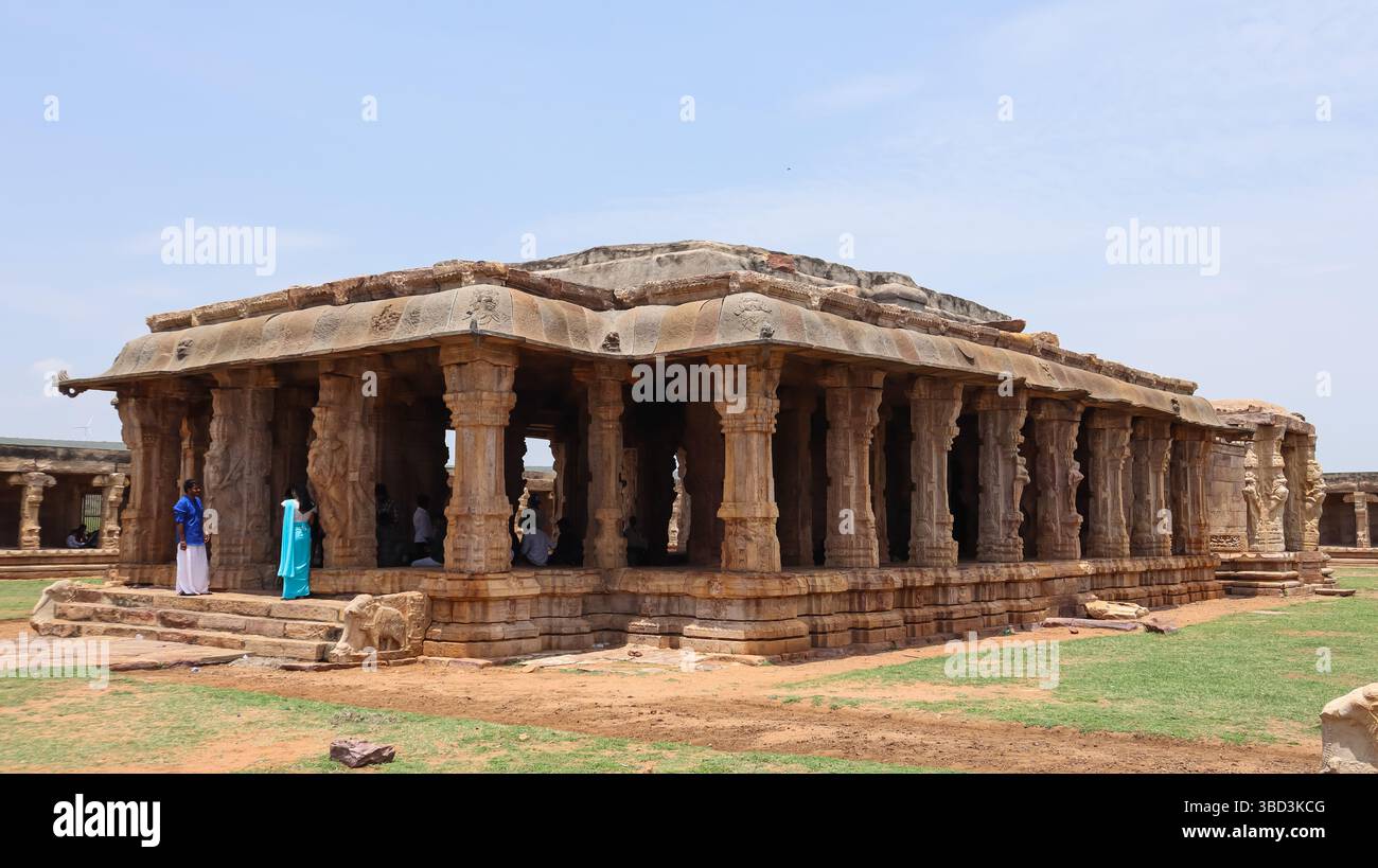 Wunderschön geschnitzte Säulen und Mandapa im Vijayanagara Stil Shri Madhavaraya Swamy Tempel, Gandikota Fort, Andhra Pradesh, Indien. Stockfoto