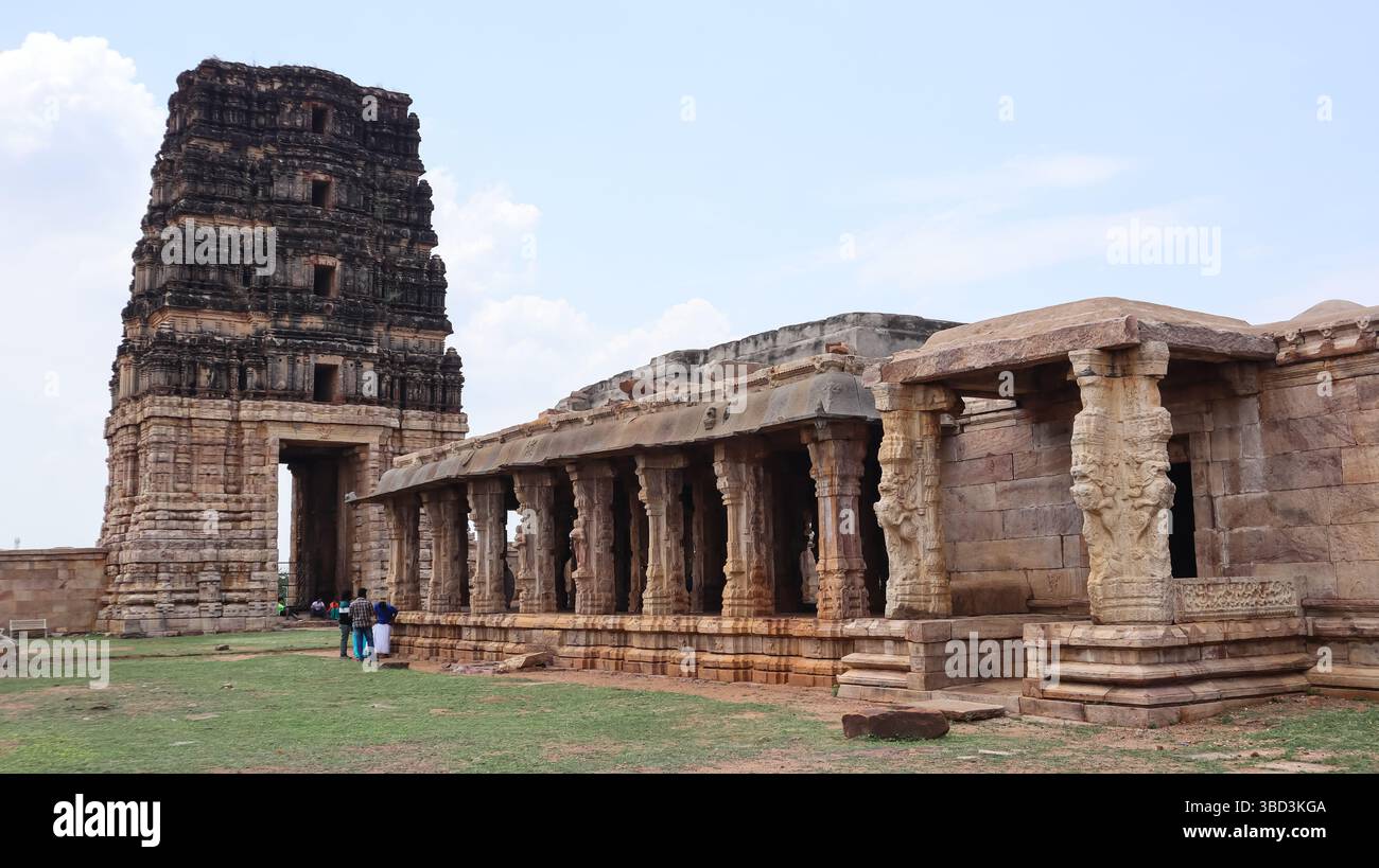 Wunderschön geschnitzte Säulen und Mandapa im Vijayanagara Stil Shri Madhavaraya Swamy Tempel, Gandikota Fort, Andhra Pradesh, Indien. Stockfoto
