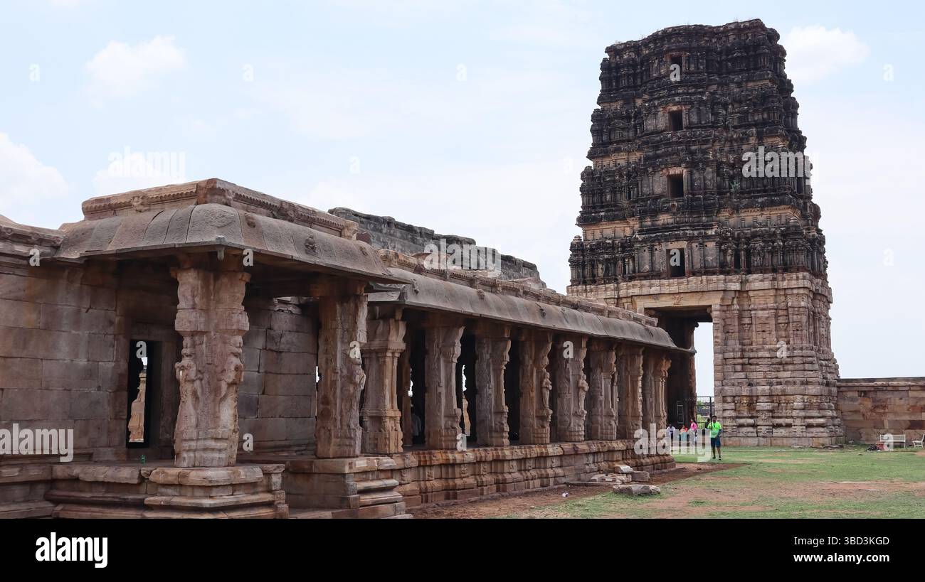 Wunderschön geschnitzte Säulen und Mandapa im Vijayanagara Stil Shri Madhavaraya Swamy Tempel, Gandikota Fort, Andhra Pradesh, Indien. Stockfoto