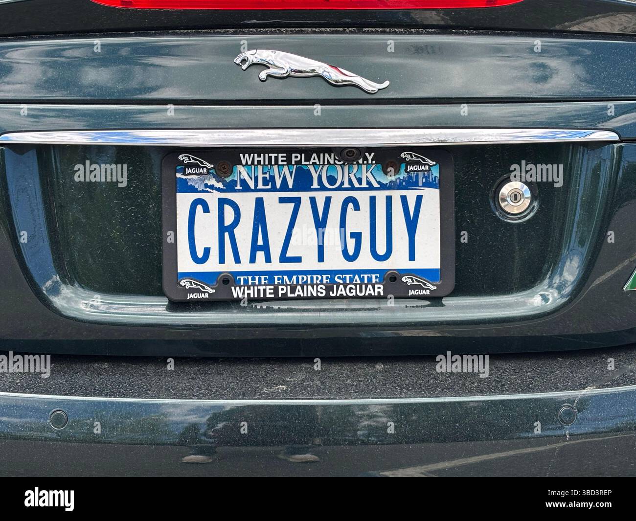 Ein ungewöhnliches selbstverwerfendes Kennzeichen an einem Jaguar Sportwagen. In Vorstädten im Bundesstaat New York. Stockfoto